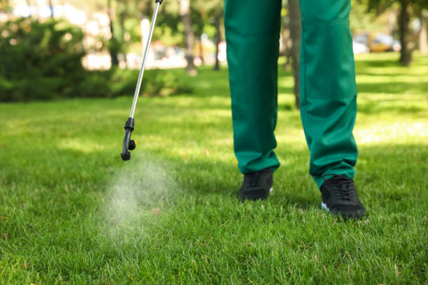 Best Wasp Removal Services  in Ohioville, PA